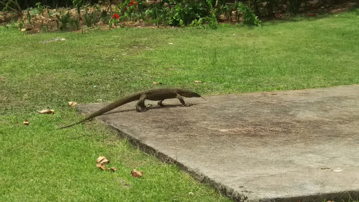 Pet Supply Store «Pet Supplies Plus», reviews and photos, 345 Willow Bend, Crystal, MN 55428, USA