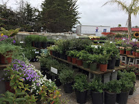 Hana Gardens Seaside (Seaside Garden Center) - Photo 9 - Car repair in Seaside, CA, Seaside