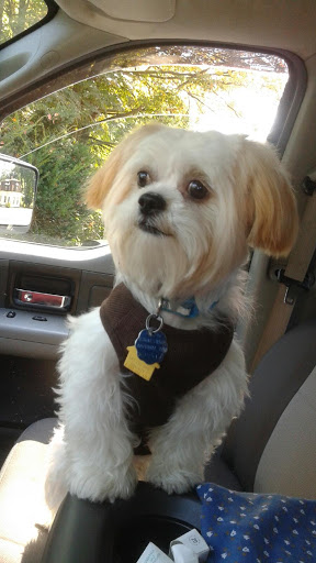 Pet Supply Store «PetSmart», reviews and photos, 1520 Pleasant Valley Rd, Manchester, CT 06042, USA