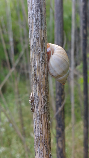 Park «John James Park», reviews and photos, 3910 Rittiman Rd, San Antonio, TX 78234, USA