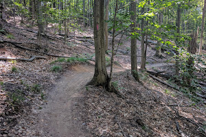 Glacial Hills Pathway and Natural Area Trailhead