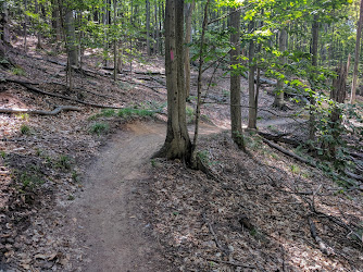 Glacial Hills Pathway and Natural Area Trailhead