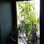 Photo n°6 de l'avis de Laura.i fait le 19/09/2020 à 14:34 sur le  Piazza Crova 3 à Vaglio Serra