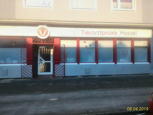 Tierarztpraxis Hassel unter Gelsenkirchen, Nordrhein-Westfalen