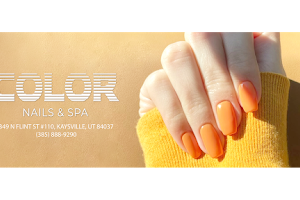 Color Nails & Spa image