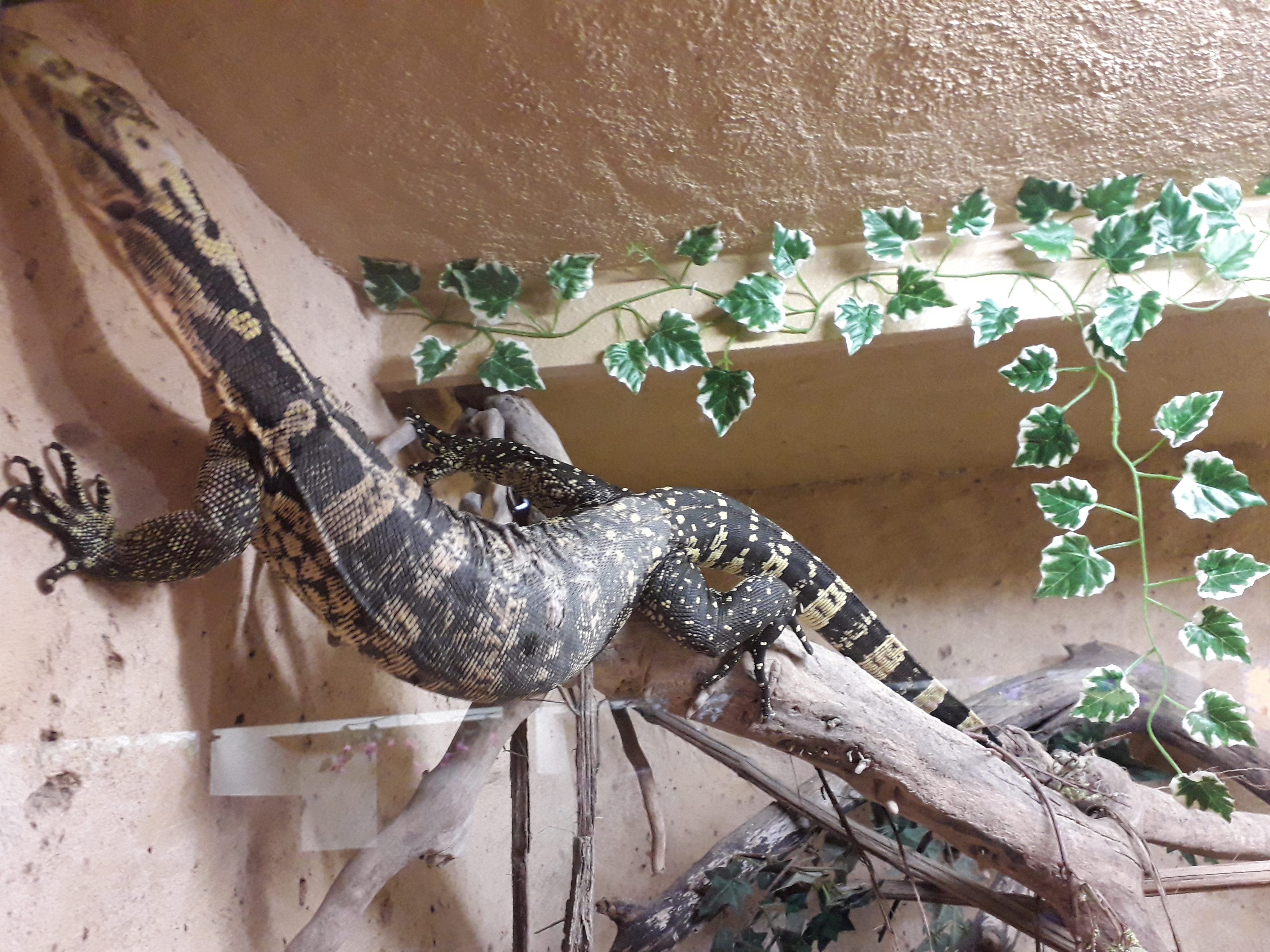 Photo n° 1 de l'avis de virginie.h fait le 27/04/2018 à 22:34