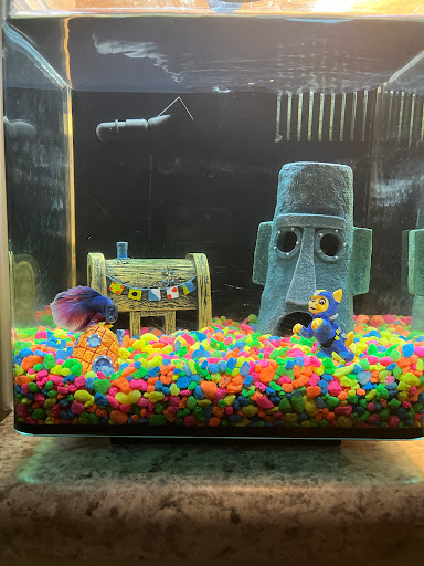 Pet Supply Store «Petco Animal Supplies», reviews and photos, 3264 Buford Dr NE #110, Buford, GA 30519, USA