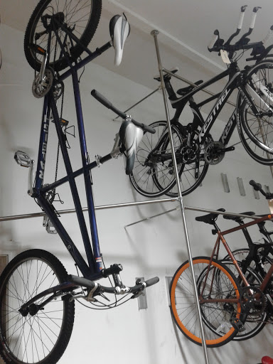 Bicycle Store «Cycle-Fit of Delaware County», reviews and photos, 320 Chester Rd, Wallingford, PA 19086, USA