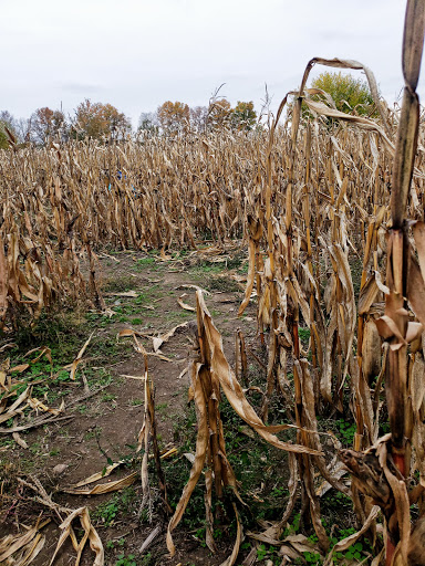 Tourist Attraction «Shawhaven Farm», reviews and photos, 1826 Rolfe Rd, Mason, MI 48854, USA
