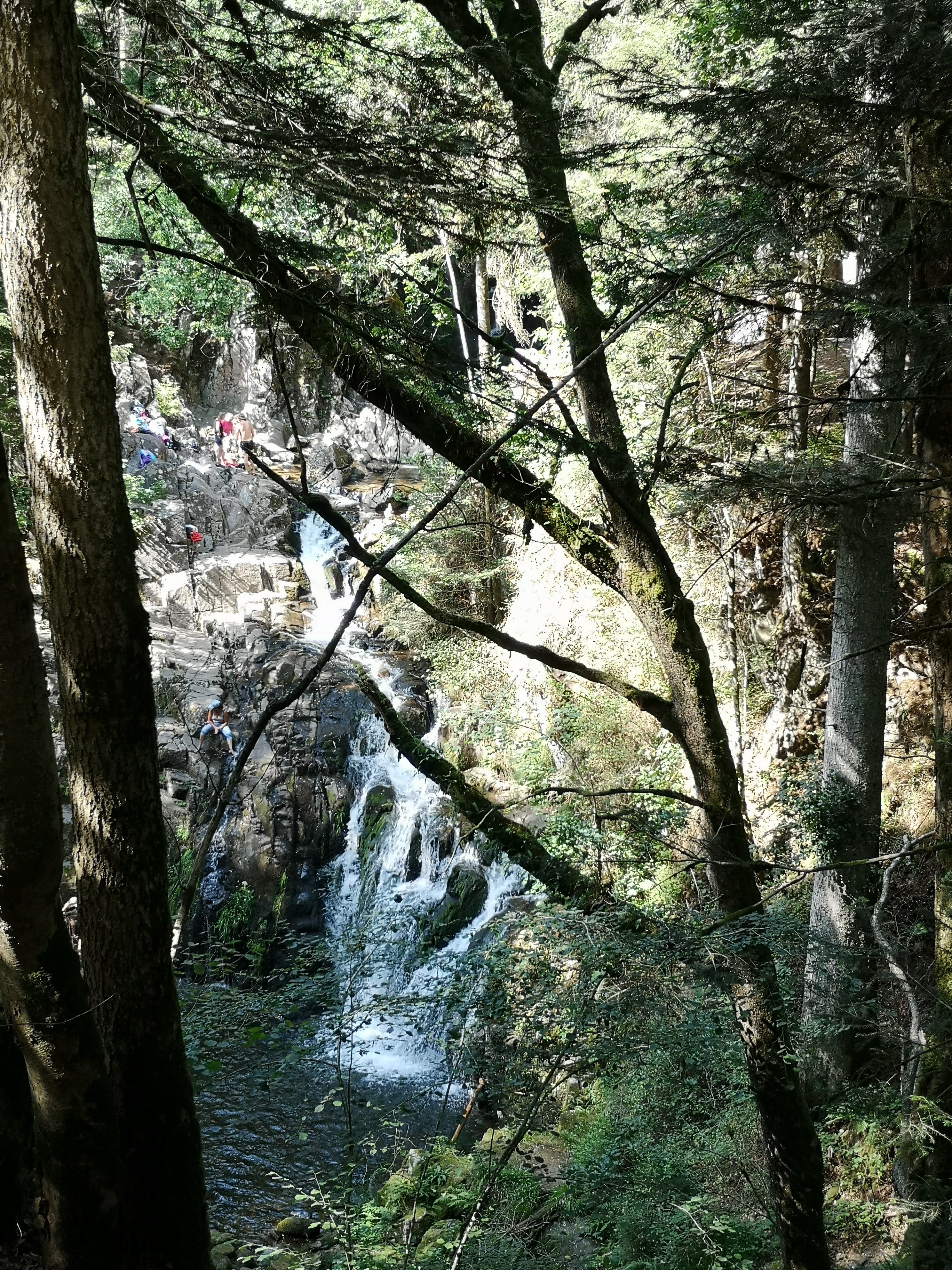 Photo n° 9 de l'avis de Stephanie.c fait le 10/08/2019 à 11:54