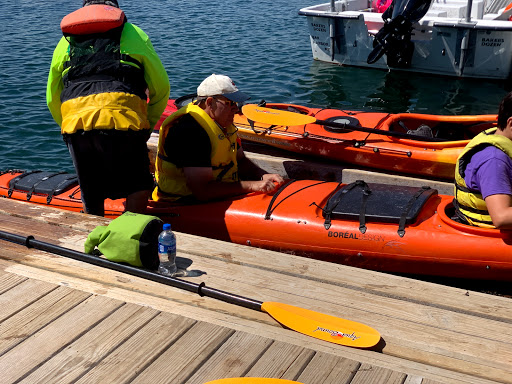 Tourist Information Center «Coastal Kayaking Tours Inc», reviews and photos, 48 Cottage St, Bar Harbor, ME 04609, USA