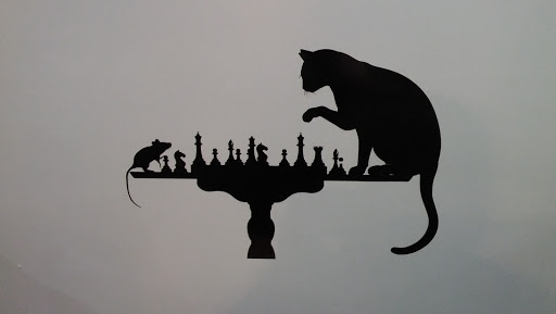 Coffee Shop «The Screen Door Coffee and Entertainment», reviews and photos, 408 W Main St, Norman, OK 73069, USA