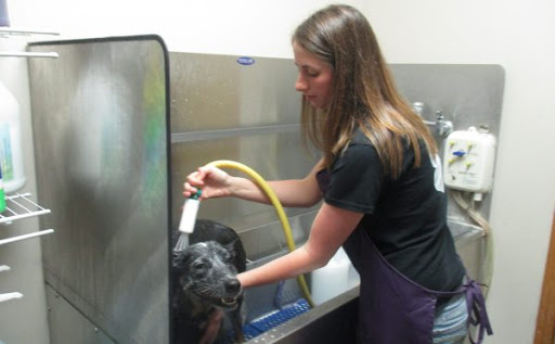 Franklin County Animal Medical Center