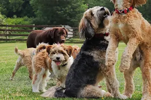 The Pudsey Dog Park image