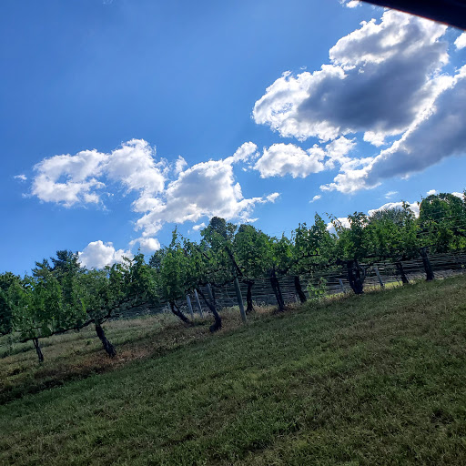 Winery «Valhalla Vineyards», reviews and photos, 6500 Mt Chestnut Rd, Roanoke, VA 24018, USA