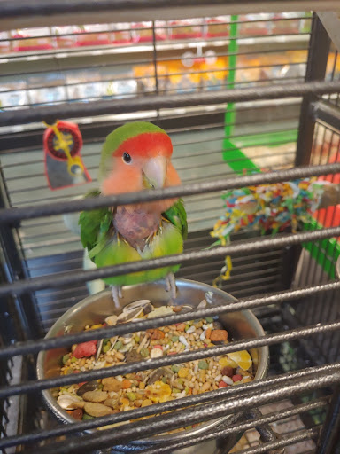 Pet Store «Olathe Pet Shop», reviews and photos, 16651 151st St, Olathe, KS 66062, USA