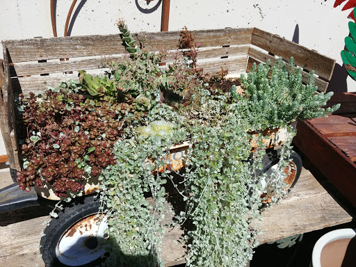 Hardware Store «South Salem Ace Hardware», reviews and photos, 706 Madrona Ave SE, Salem, OR 97302, USA