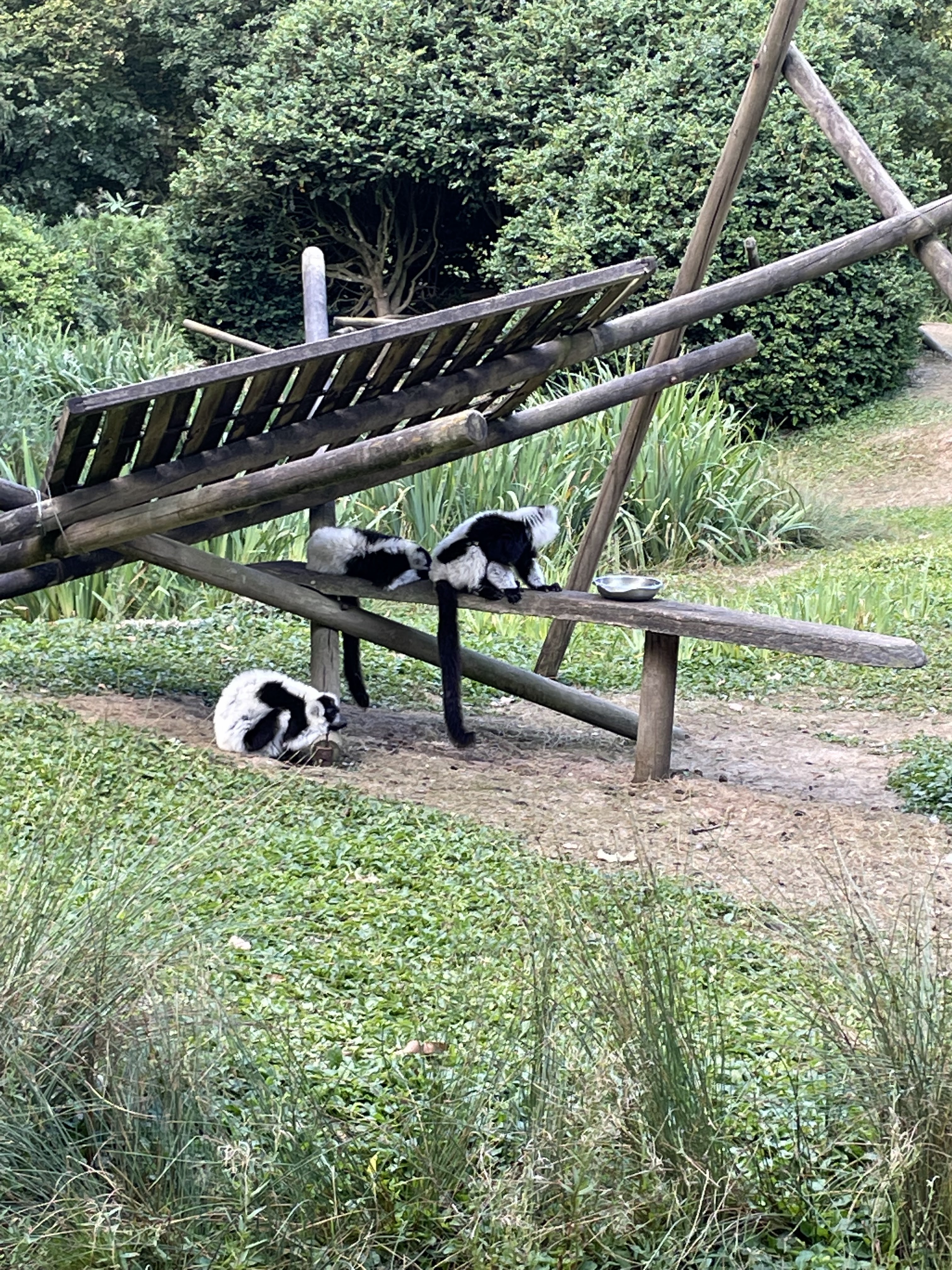 Photo n° 7 de l'avis de NICOLAS.O fait le 21/07/2022 à 17:33