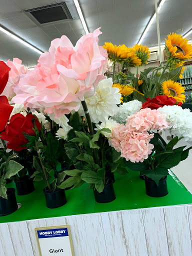 Craft Store «Hobby Lobby», reviews and photos, 3300 W Expy 83 #700, McAllen, TX 78501, USA