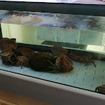 Photo n°5 de l'avis de Federico.u fait le 23/08/2019 à 17:38 sur le  Cervejaria Murta à Sines