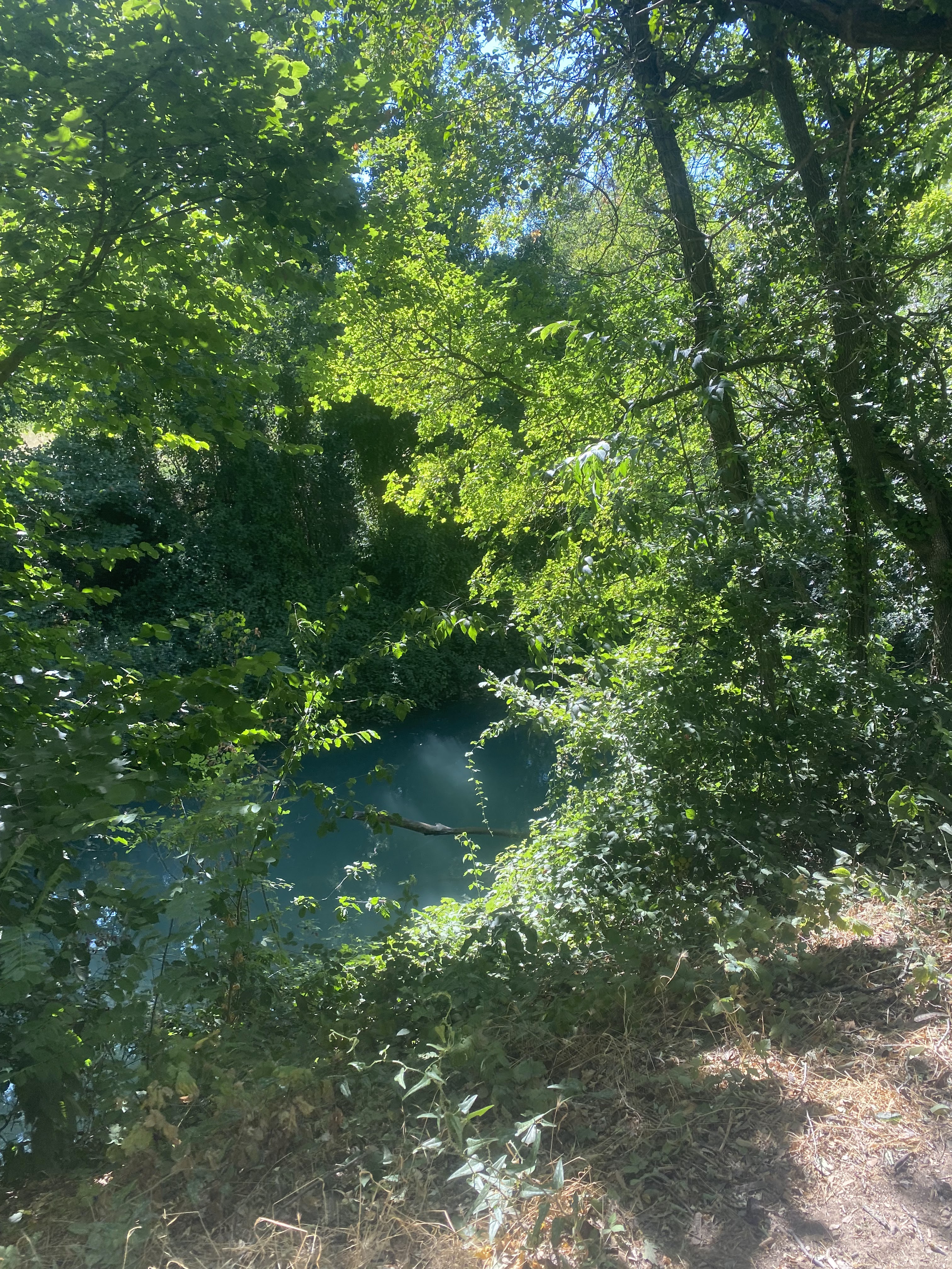 Photo n° 13 de l'avis de attoh.m fait le 09/08/2023 à 16:25