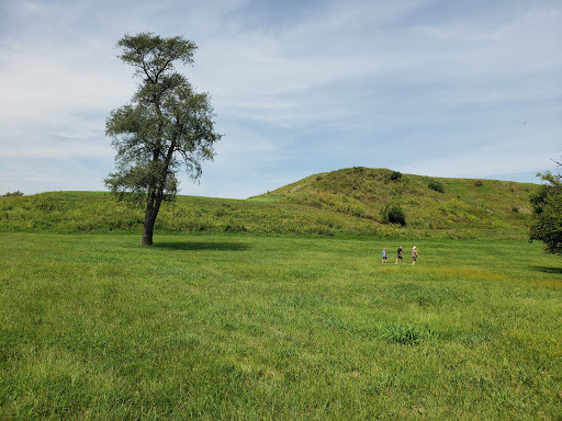 Cahokia Mounds State Historic Site