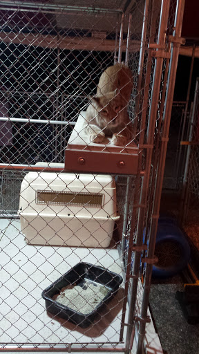 Clothing Store «Aéropostale», reviews and photos, 451 Eagle Ridge Mall Entrance, Lake Wales, FL 33859, USA