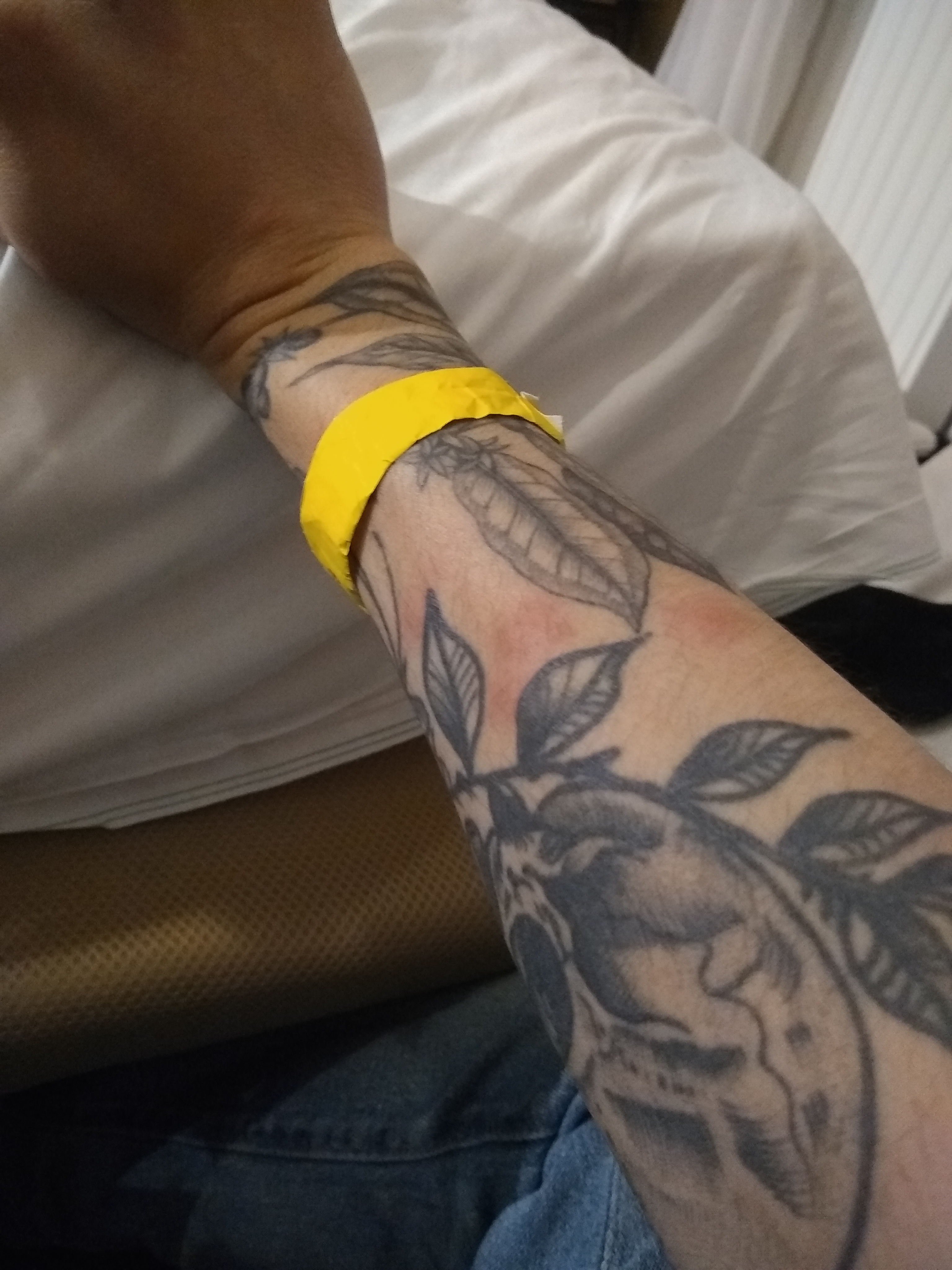 Photo n° 1 de l'avis de Emilio.c fait le 20/02/2020 à 19:13