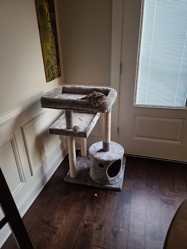 Pet Supply Store «Pet Supermarket», reviews and photos, 3821 S Cobb Dr, Smyrna, GA 30080, USA