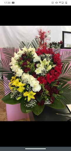 Flores D’Maty