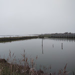 Photo n°3 de l'avis de Tommaso.r fait le 19/12/2020 à 16:14 sur le  Bettolino di Foce à Comacchio