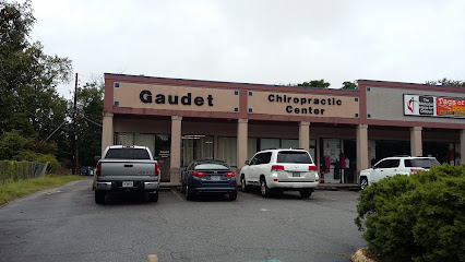 Gaudet Chiropractic Center - Pet Food Store in Macon Georgia