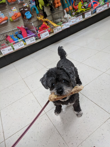 Pet Supply Store «Huron Pet Supply», reviews and photos, 5060 Jackson Rd, Ann Arbor, MI 48103, USA