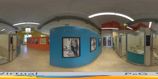 Animal Protection Organization «Charleston Animal Society», reviews and photos