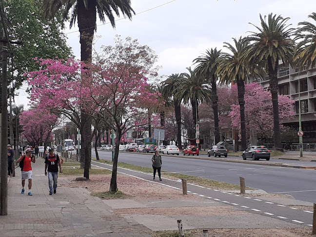 Banco de Seguros del Estado - Edificio Reclamaciones - Agencia de seguros