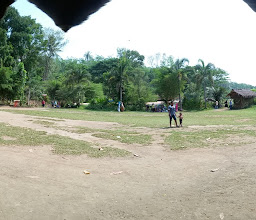 Hutan Bambu Andeman photo