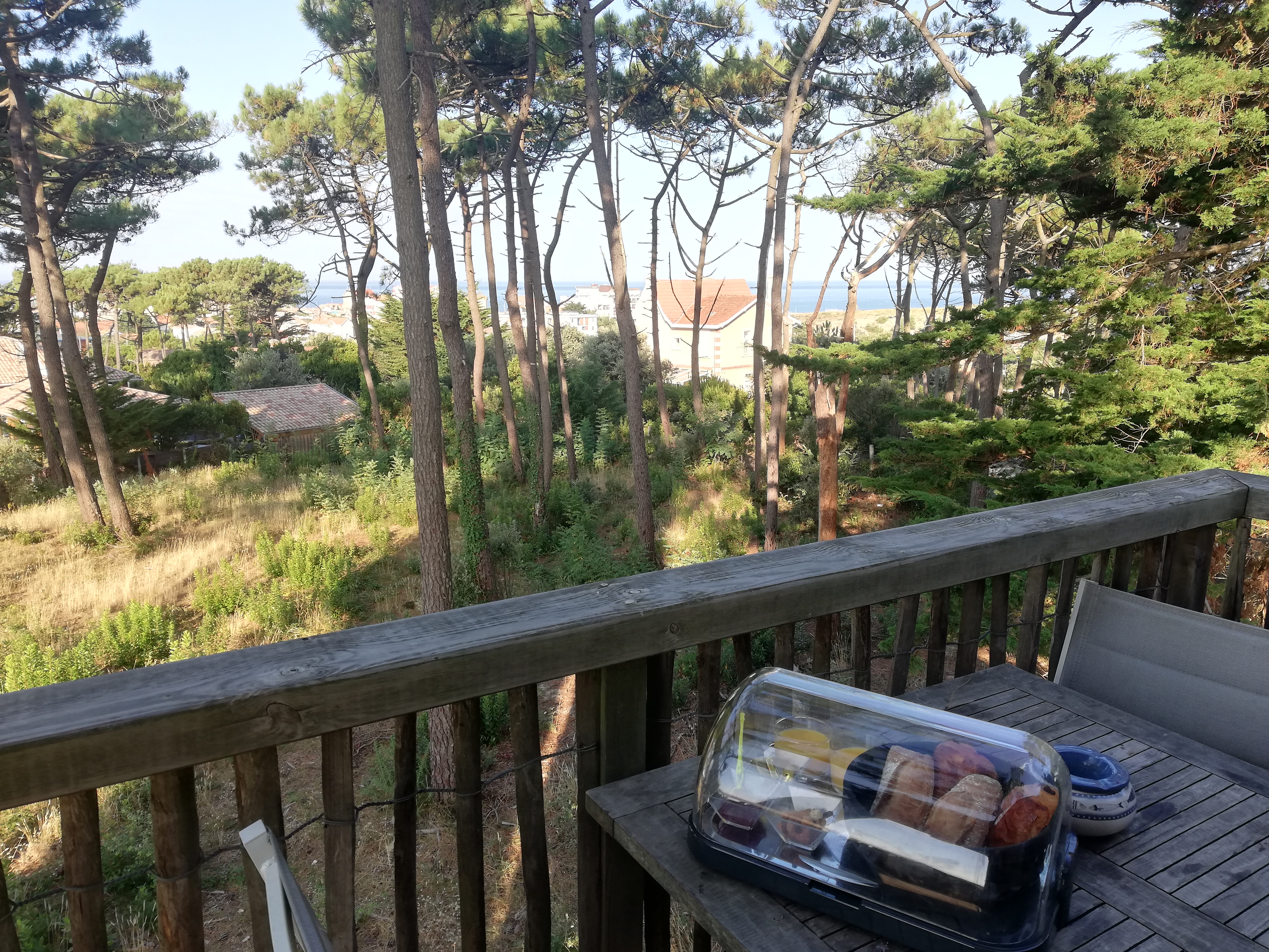 Photo n° 1 de l'avis de Estelle.o fait le 05/09/2021 à 16:53