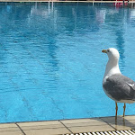 Photo n°4 de l'avis de Dietmar.r fait le 29/05/2018 à 09:01 sur le  Hotel Royal à Bibione