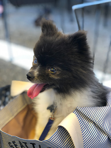 Winery «Chateau Ste. Michelle Winery», reviews and photos, 14111 NE 145th St, Woodinville, WA 98072, USA