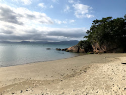 Photo de Prainha de Ganchos de Fora zone sauvage