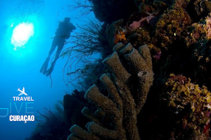 Dive Travel Curacao image