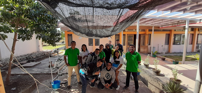 Pusat Pelatihan di Nusa Tenggara Timur: Menemukan Jumlah Tempat Pelatihan Lokasi yang Tersedia