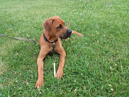 Pet Supply Store «Petco Animal Supplies», reviews and photos, 1337 N National Rd, Columbus, IN 47201, USA