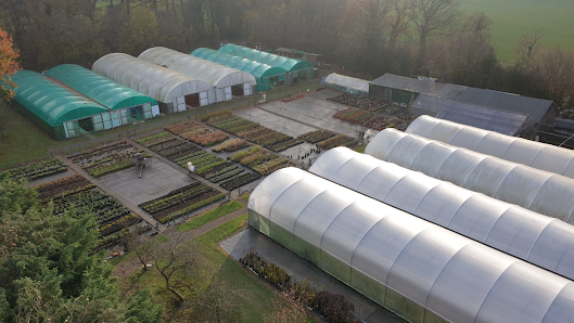 Prenplants Sussex Ltd Birch Copse, The Haven, Billingshurst RH14 9BG, United Kingdom