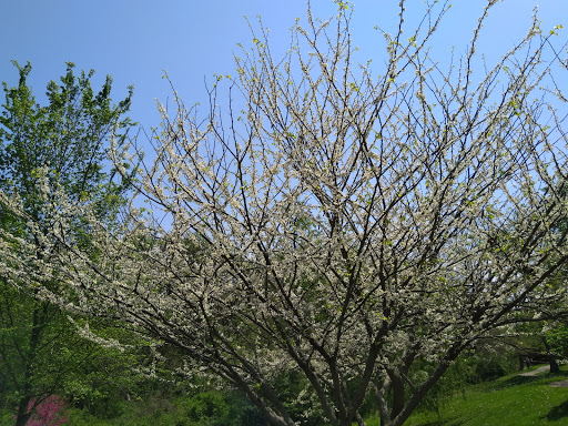 Park «Florence Nature Park», reviews and photos, 7200 Parkview Dr, Florence, KY 41042, USA