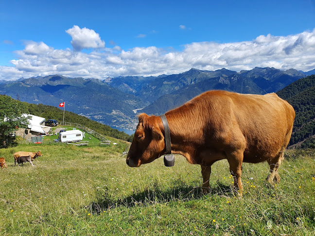 Alpe di Neggia - Bellinzona