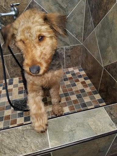 Pet Supply Store «Pet Valu», reviews and photos, 9 S Main St, Englewood, OH 45322, USA