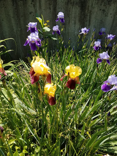 Nature Preserve «Creasey Mahan Nature Preserve», reviews and photos, 12501 Harmony Landing Rd, Goshen, KY 40026, USA