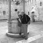 Photo n°1 de l'avis de Life.i fait le 19/02/2018 à 15:47 sur le  Il Cavallino Bianco à Siena