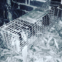 Wildlife Removal Services JAX, Inc. - Photo 9 - Car repair in , Jacksonville